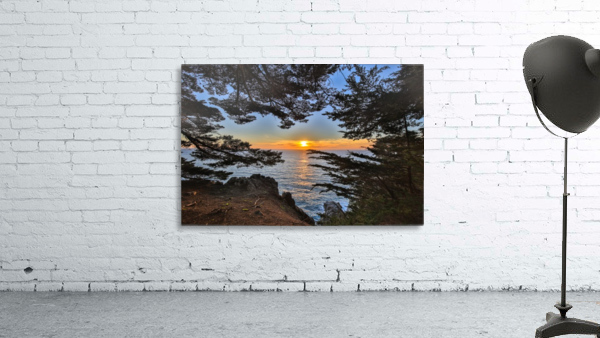 fleeting memories Wall Preview