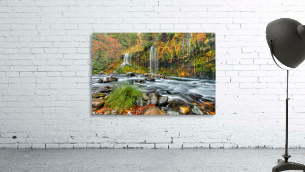ColorFall Wall Preview
