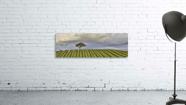 Commited Wall Preview