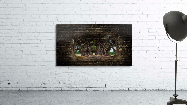 Intertwined Wall Preview