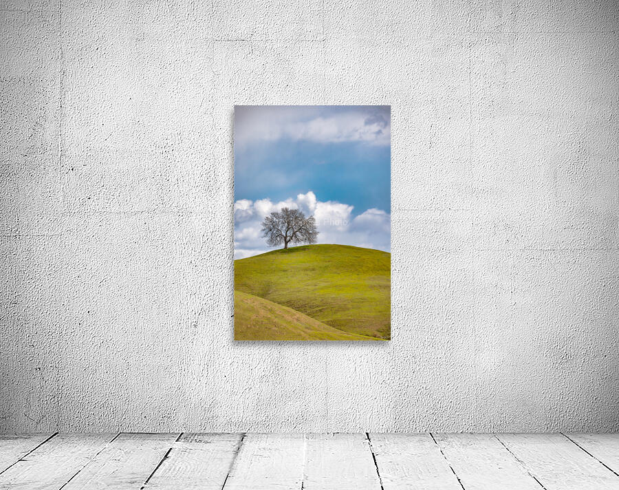 Lone Tree  Wall Preview