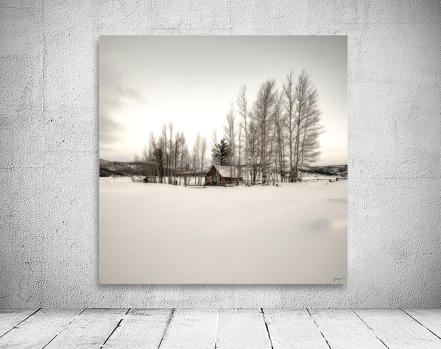 Winter is here Wall Preview