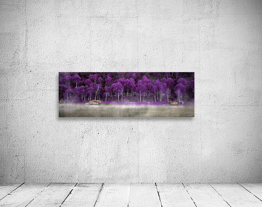 Purple Palette  Wall Preview