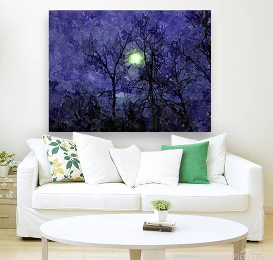 NIGHT SKY Reproduction