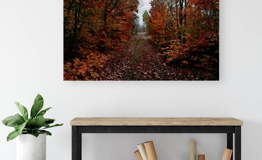 Fall 6 in Red by Bev Snider
