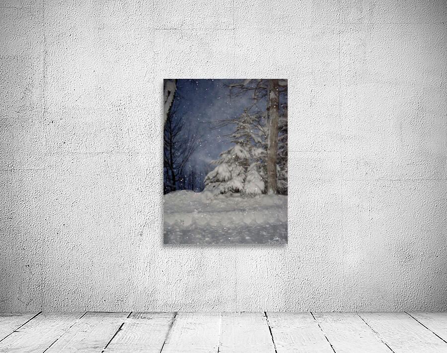 Starry Winter Night Wall Preview