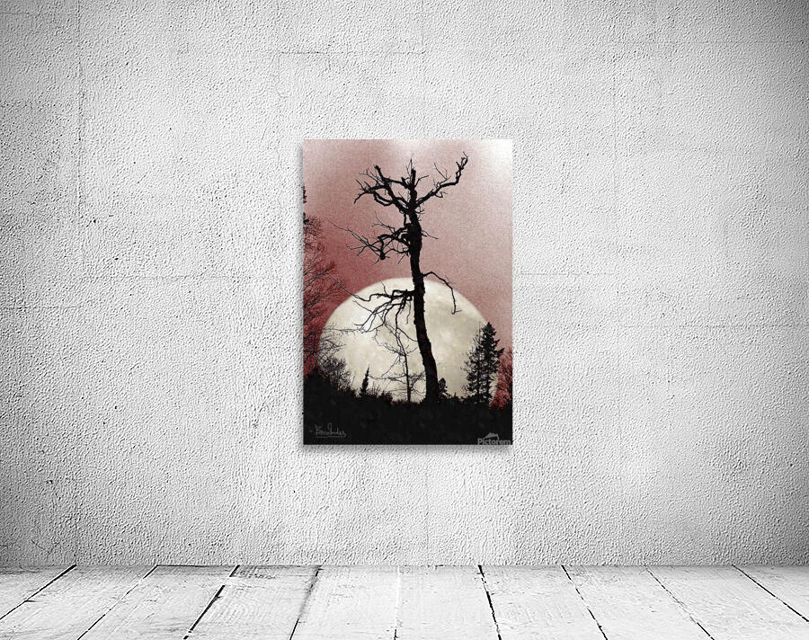 Tree and Full Moon  Wall Preview