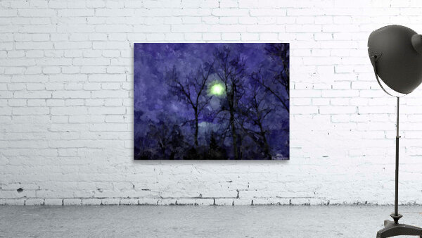 NIGHT SKY Wall Preview