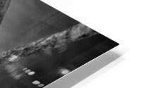 Elephant trunk  HD Metal print