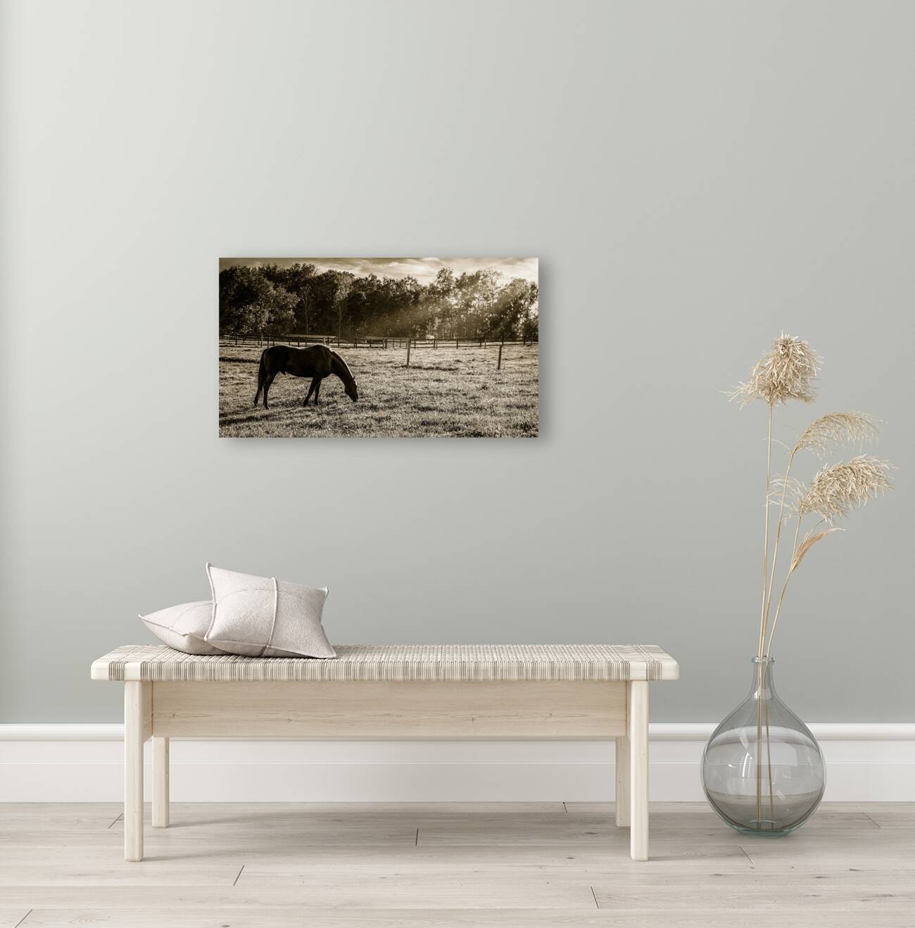 Solitude and Sunshine Reproduction