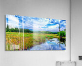 Weaver River 2 Acrylic Print