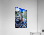 Tangle Falls Acrylic Print