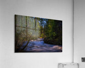 Pink River Gorge 2 Acrylic Print