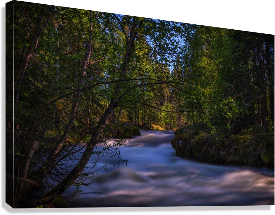 Pink River Gorge 2 Canvas Print