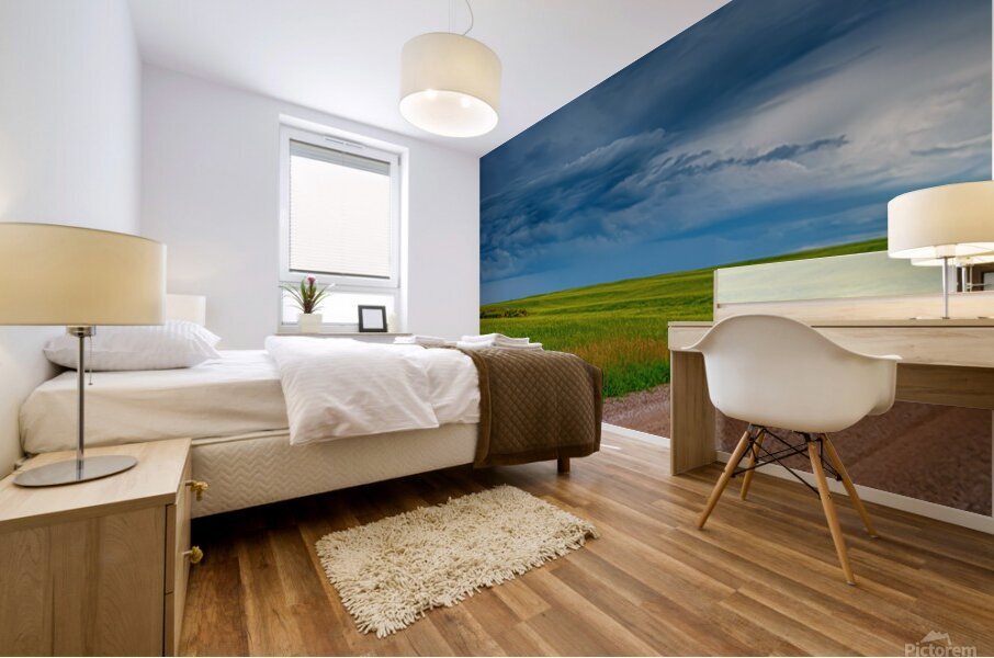Saskatchewan Skies 4 Mural print