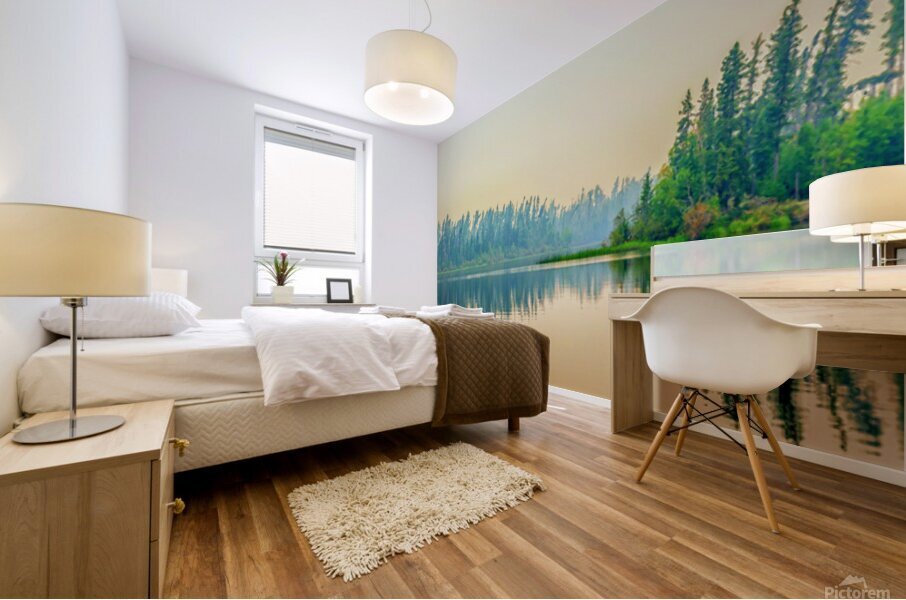 Barker Island Mural print