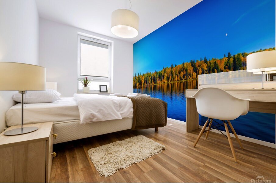 Fall shoreline Mural print
