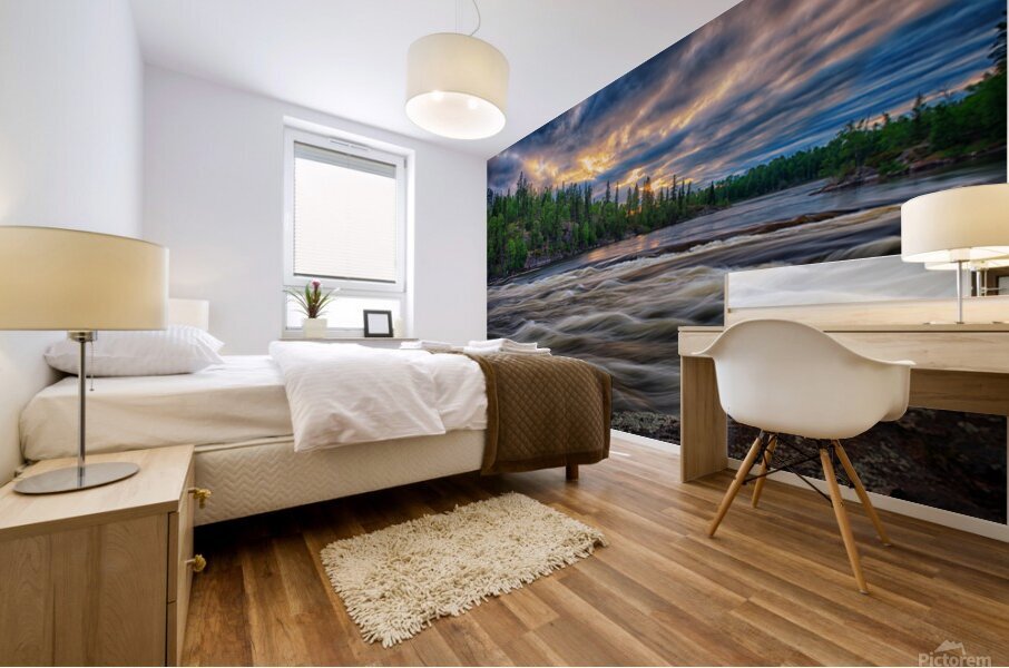 Stanley Rapids Mural print