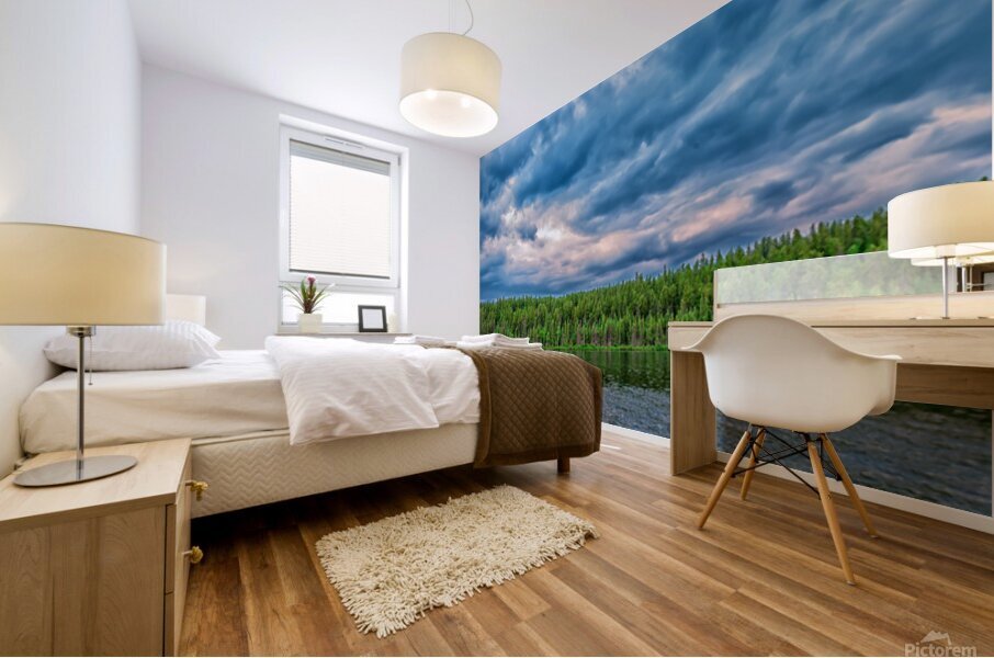 Fond Du Lac Shoreline Mural print