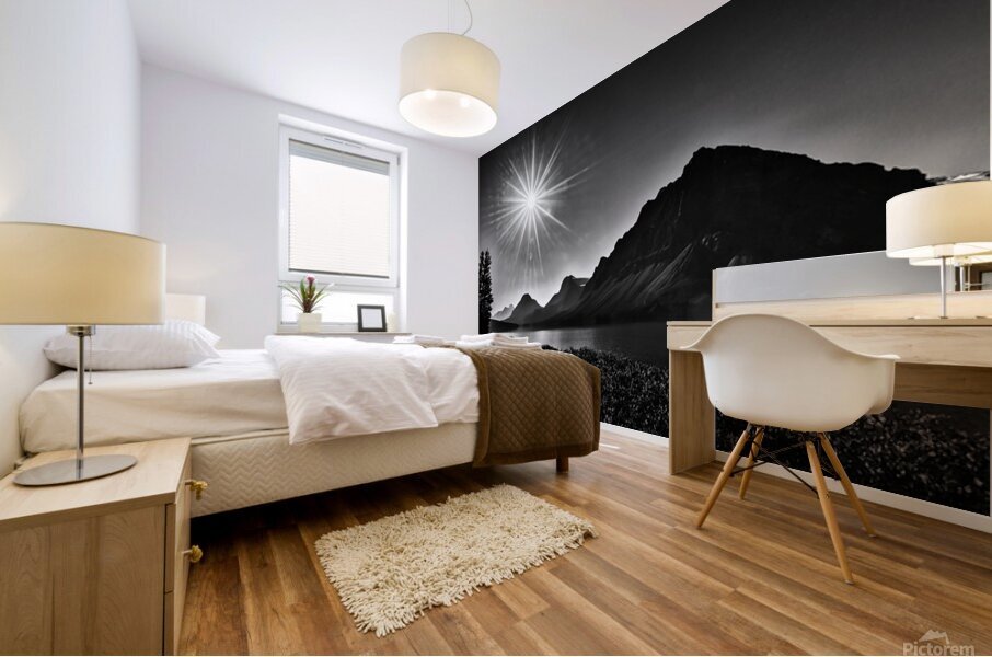 Bow lake Mural print