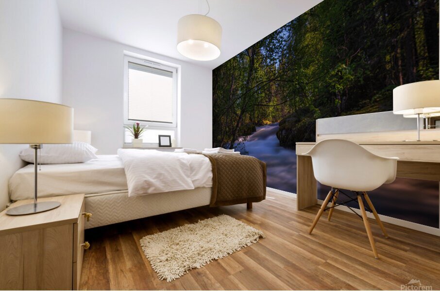 Pink River Gorge 2 Mural print