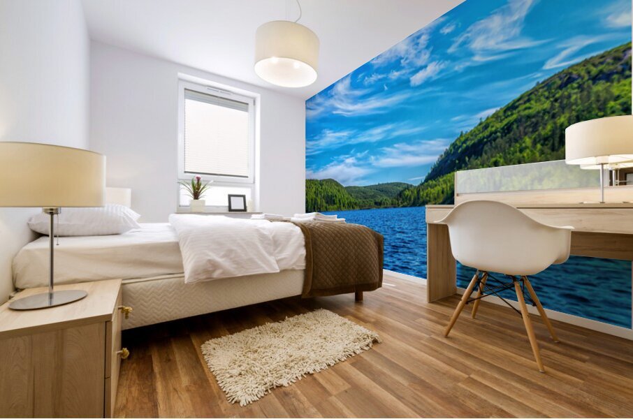 Thompson River Mural print