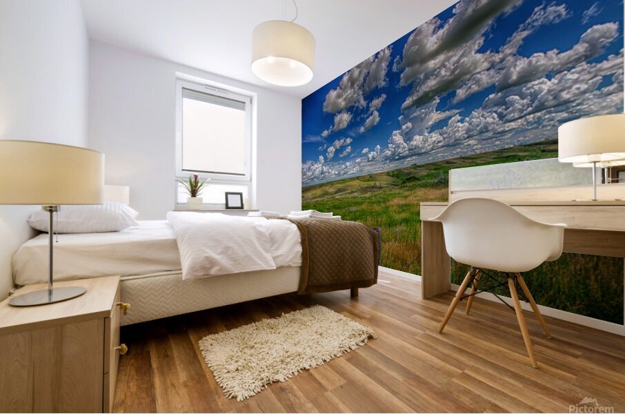 Saskatchewan Skies 2 Mural print