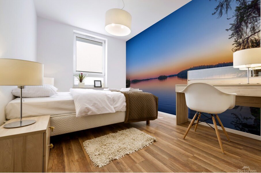 Versailles Lake Mural print