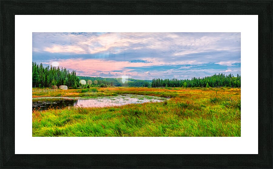 Weaver River 1 Picture Frame print