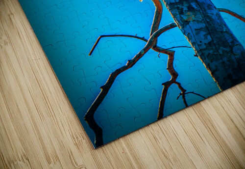 Watchful Eye Apollo Bellisle puzzle