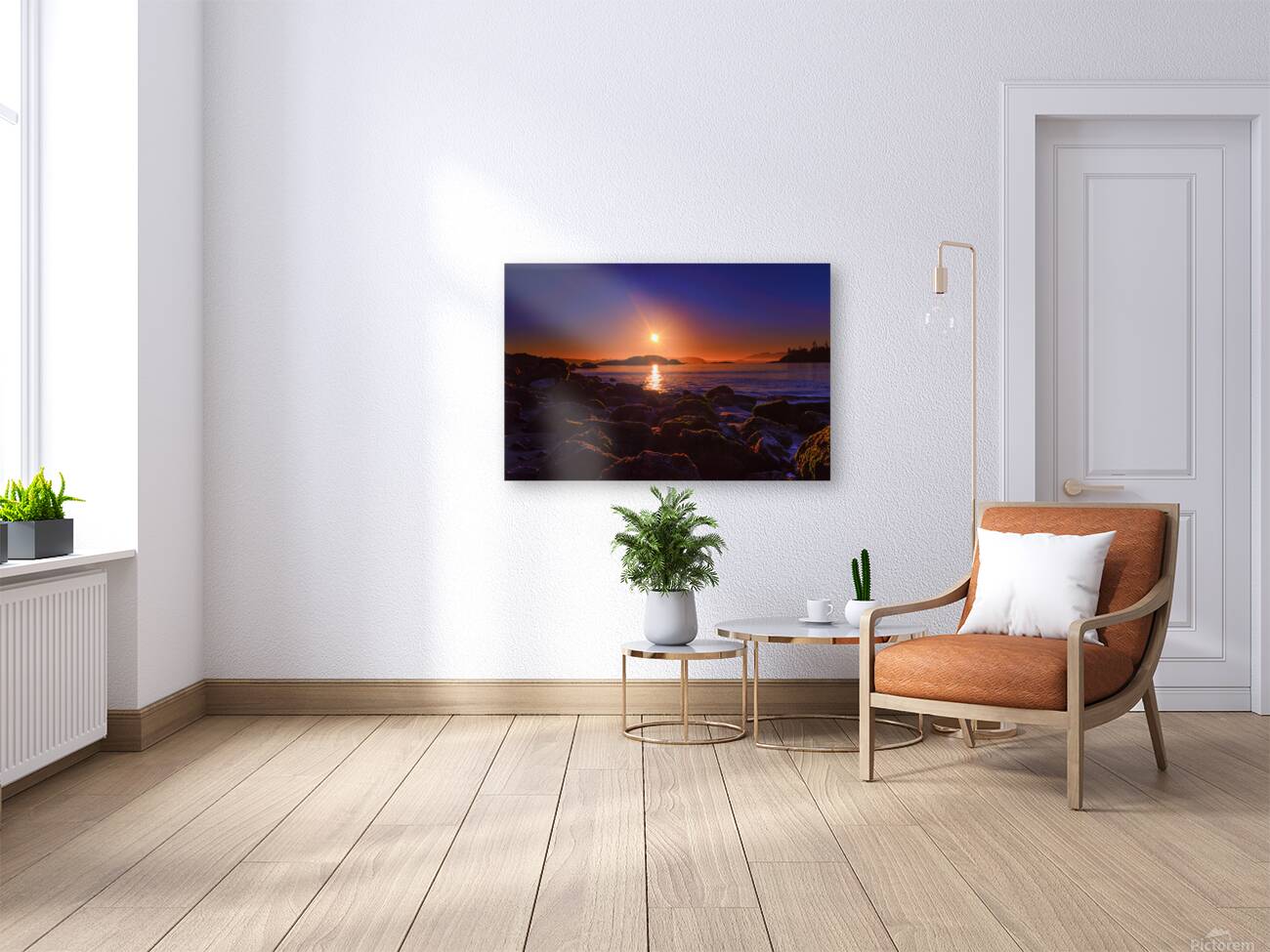 Crystal Cove Reproduction