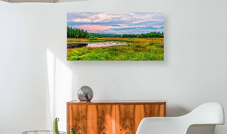 Weaver River 1 Reproduction