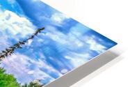 Weaver River 2 HD Metal print