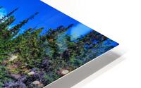 Tangle Falls HD Metal print