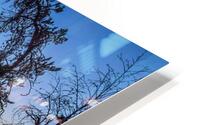 Versailles Lake HD Metal print