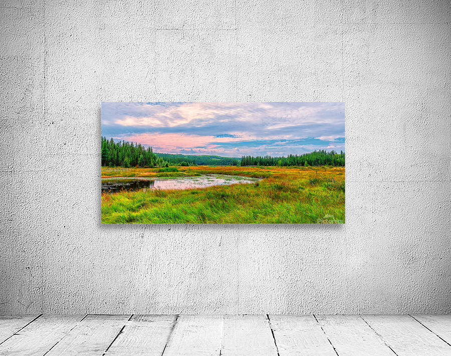 Weaver River 1 Wall Preview