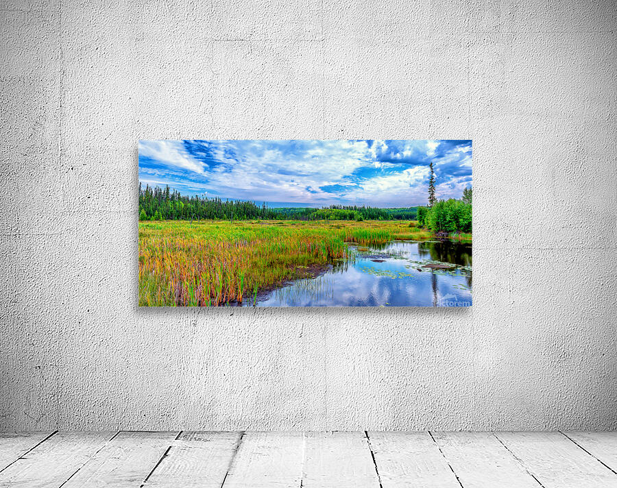 Weaver River 2 Wall Preview