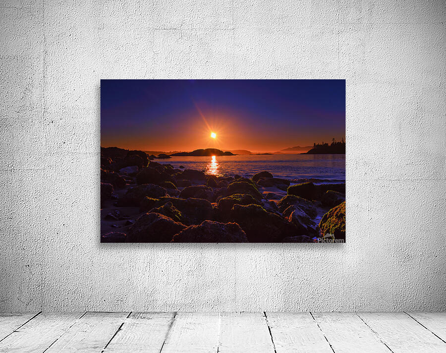 Crystal Cove Wall Preview