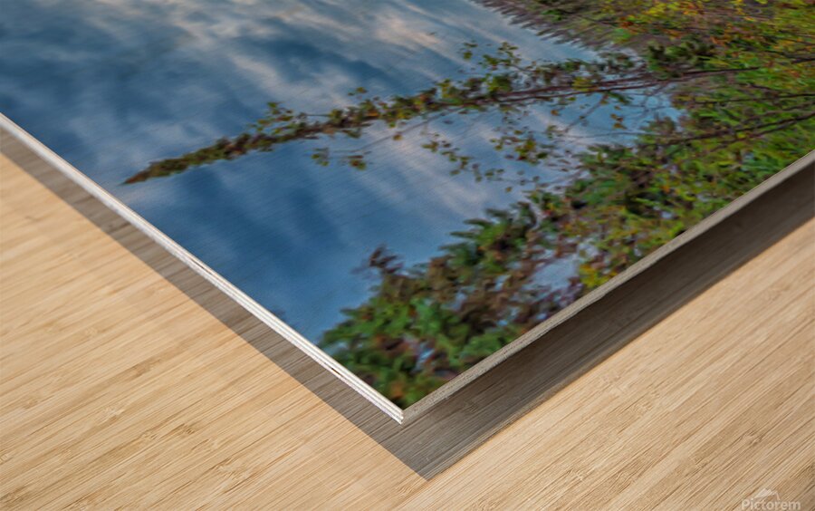View from the Portage Wood print