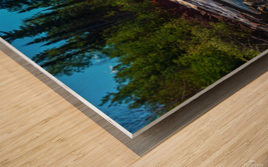 Morris Rapids Wood print