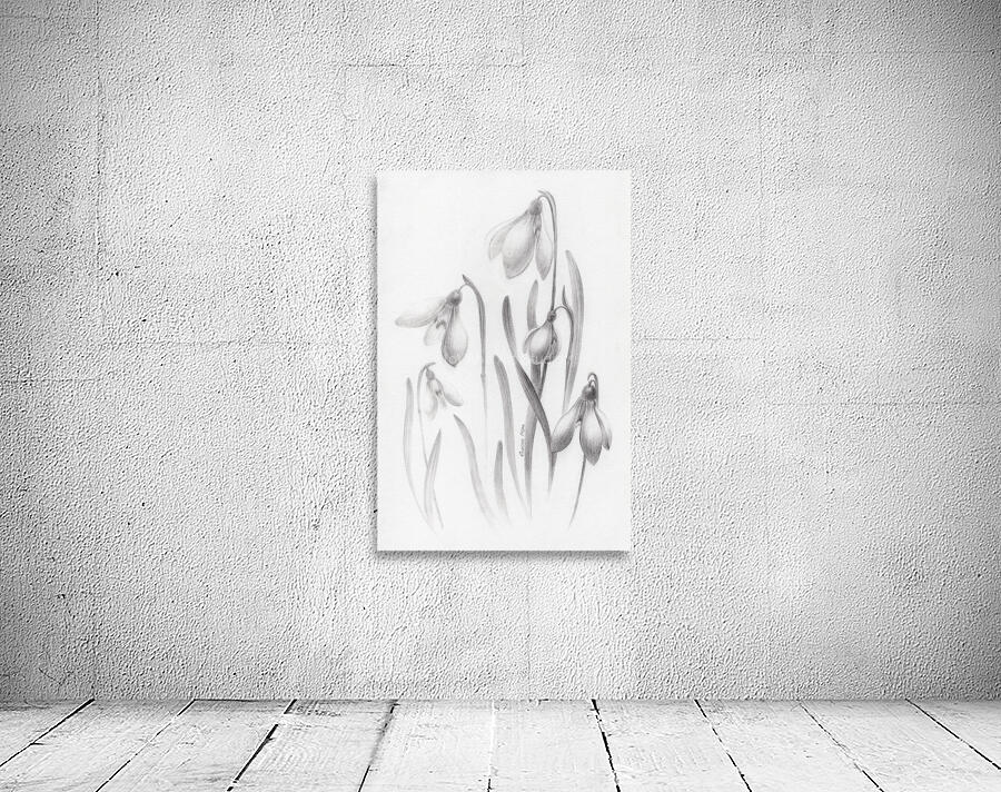 Snowdrop 003 Wall Preview