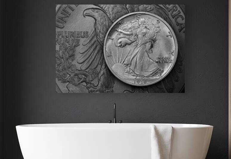 0050.1916.2 Liberty in Motion: The 1916 Walking Liberty Half Dollar by The Numismatic Art of Robert Julian