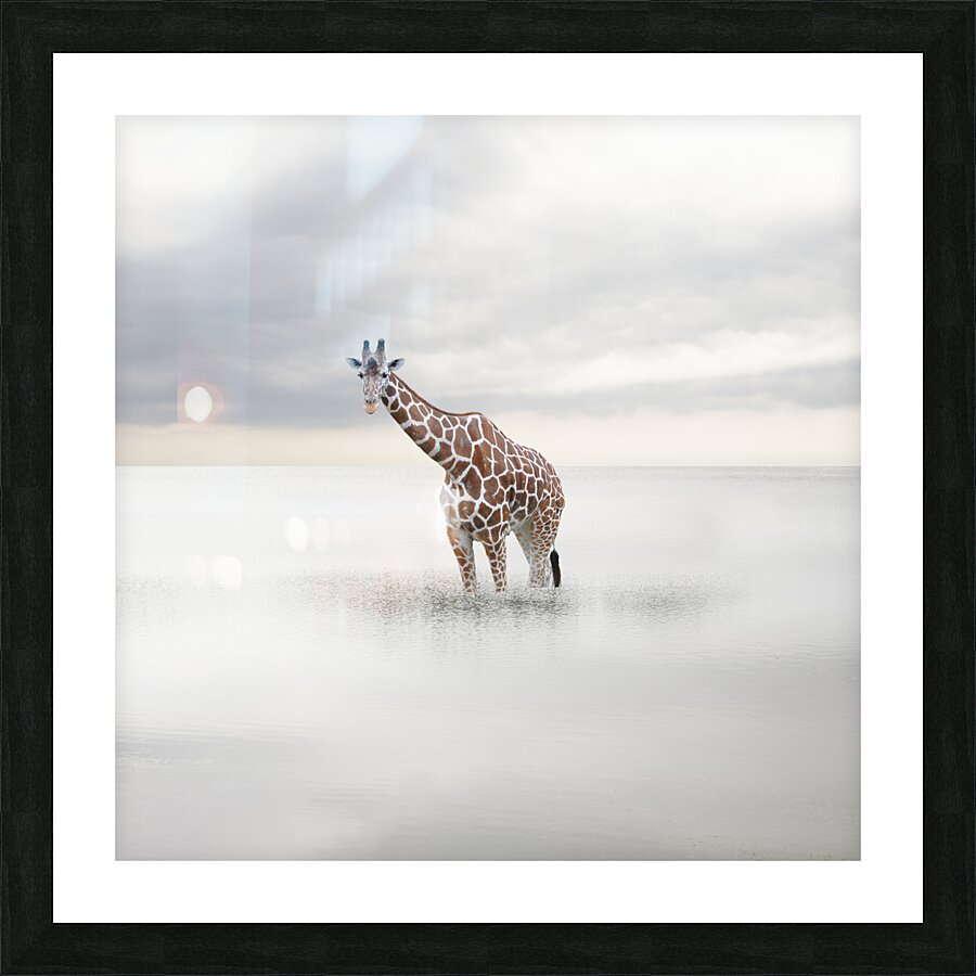 girafe mer Picture Frame print