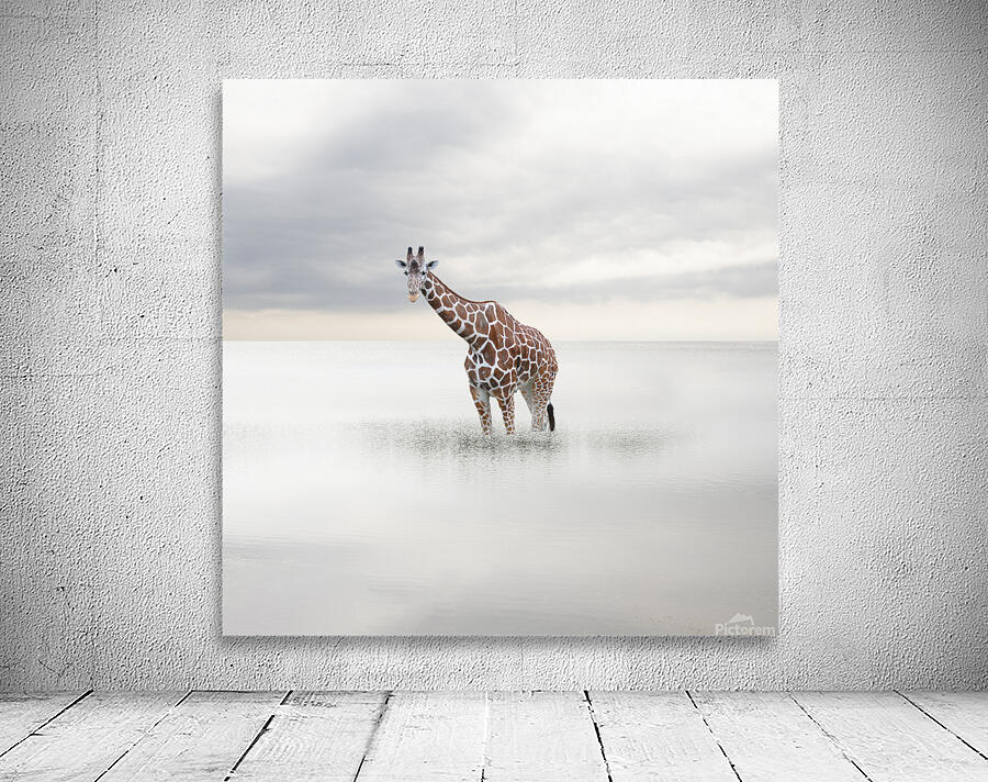 girafe mer Wall Preview
