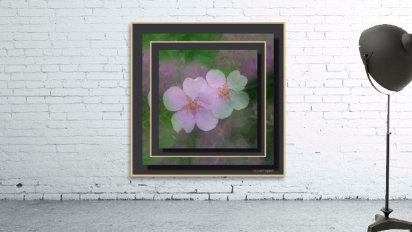 Amoureux  Wall Preview