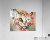 Vivid Whiskers Acrylic Print
