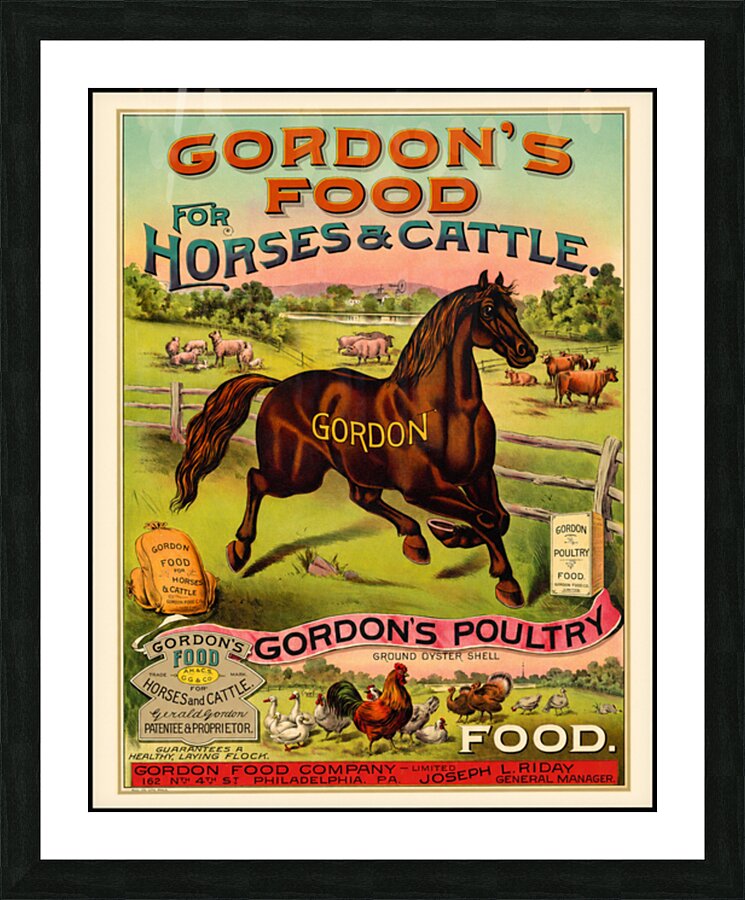Gordon Food Company by Molto Bene