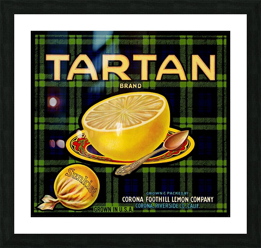 Tartan Brand by Molto Bene