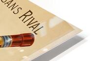 Elixir Raffin HD Metal print