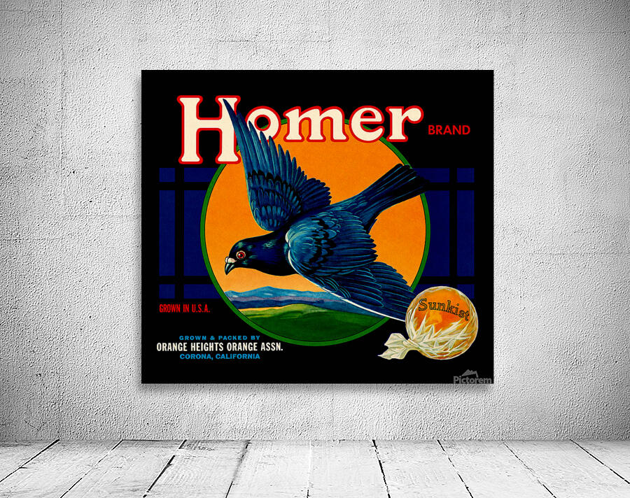 Homer Wall Preview